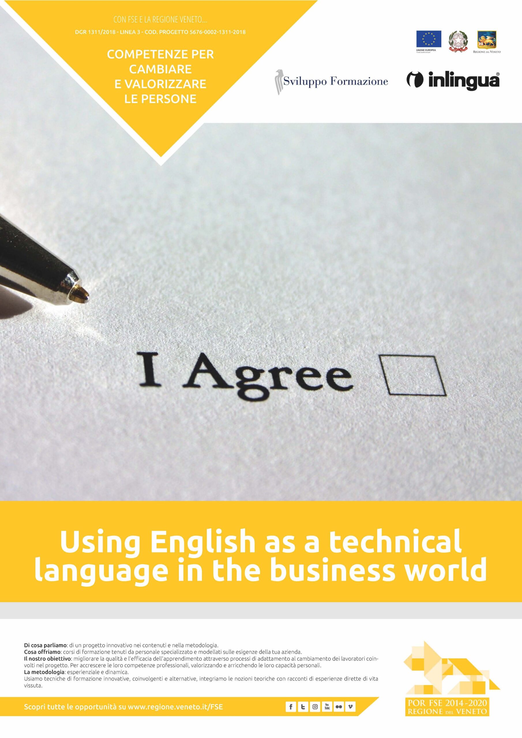 DGR 1311/2018: Using English as a technical language in the business world