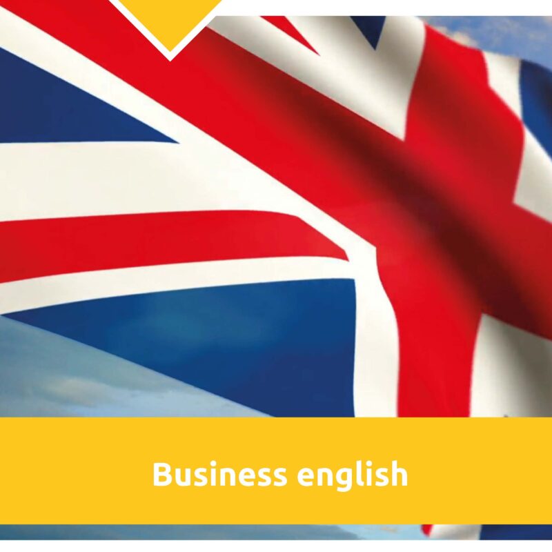 DGR 1311/2018: business english