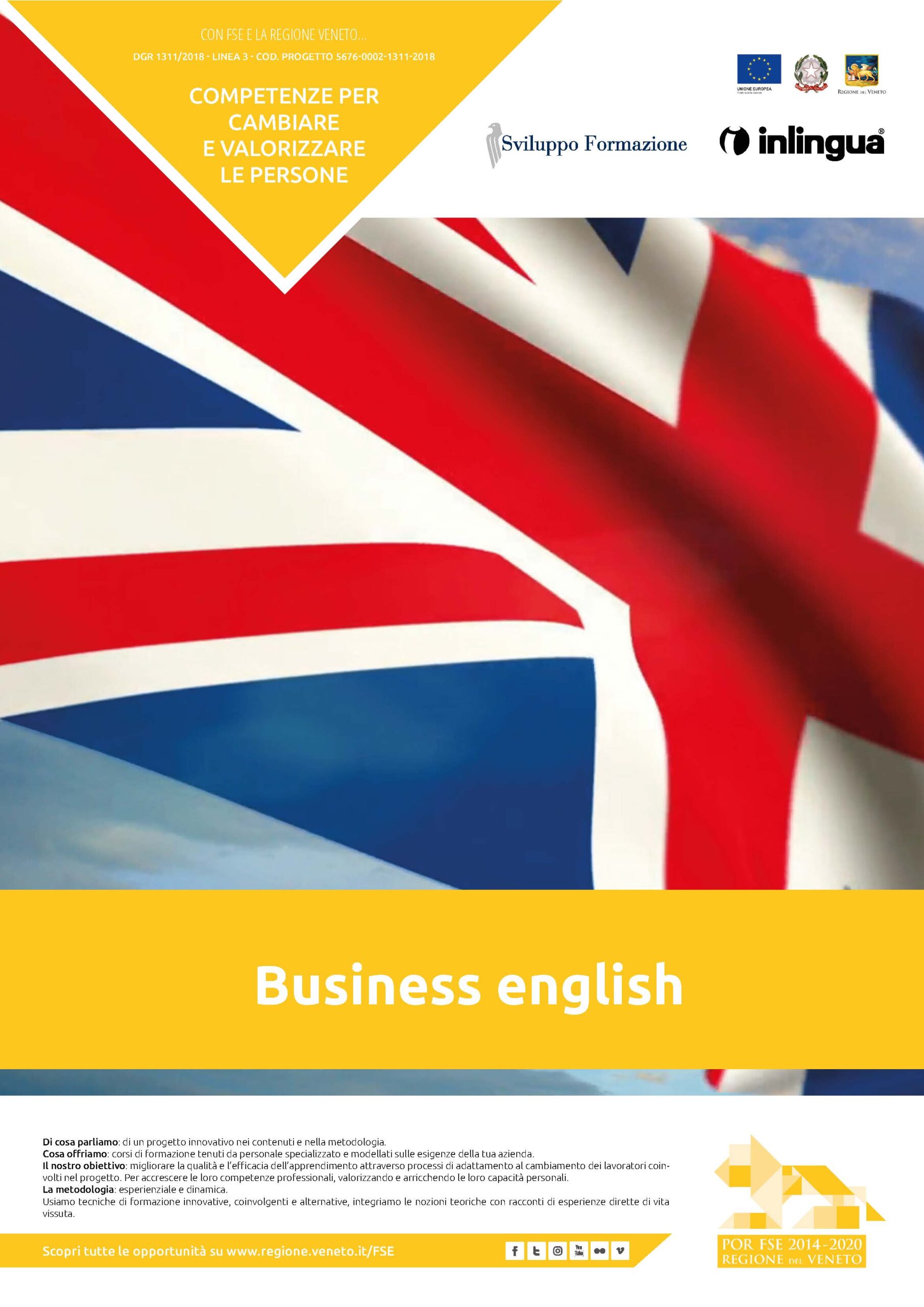 DGR 1311/2018: business english